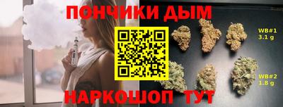 индика Кулебаки