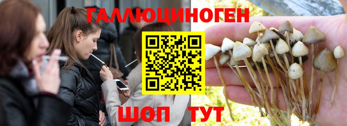 закладки  Вход с VPN  Туймазы  Псилоцибиновые грибы GOLDEN TEACHER 